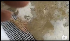 案例展示五 重慶秀山